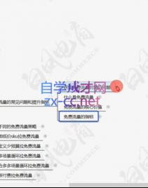 白凤电商·拼多多日销千单训练营(更新6月)