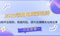 2025闲鱼电商新玩法，熟知平台规则，规避风险，提升店铺曝光与转化率
