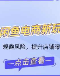 2025闲鱼电商新玩法，熟知平台规则，规避风险，提升店铺曝光与转化率
